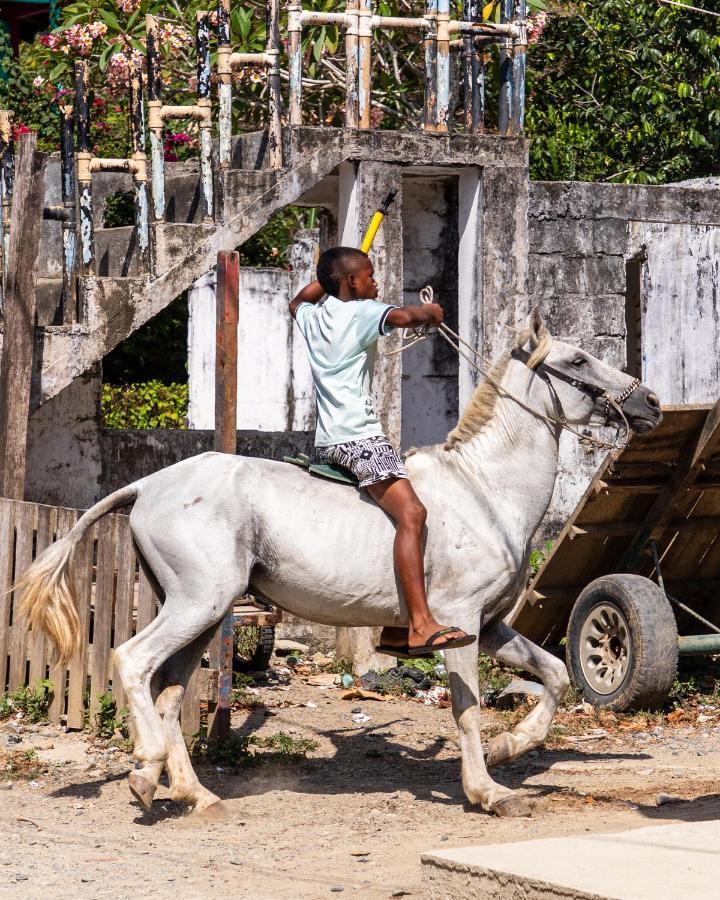 Cabanas Los Almendros Capurganá エクステリア 写真