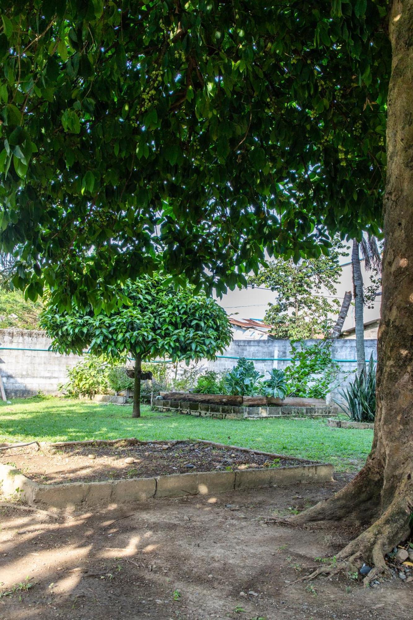 Cabanas Los Almendros Capurganá エクステリア 写真